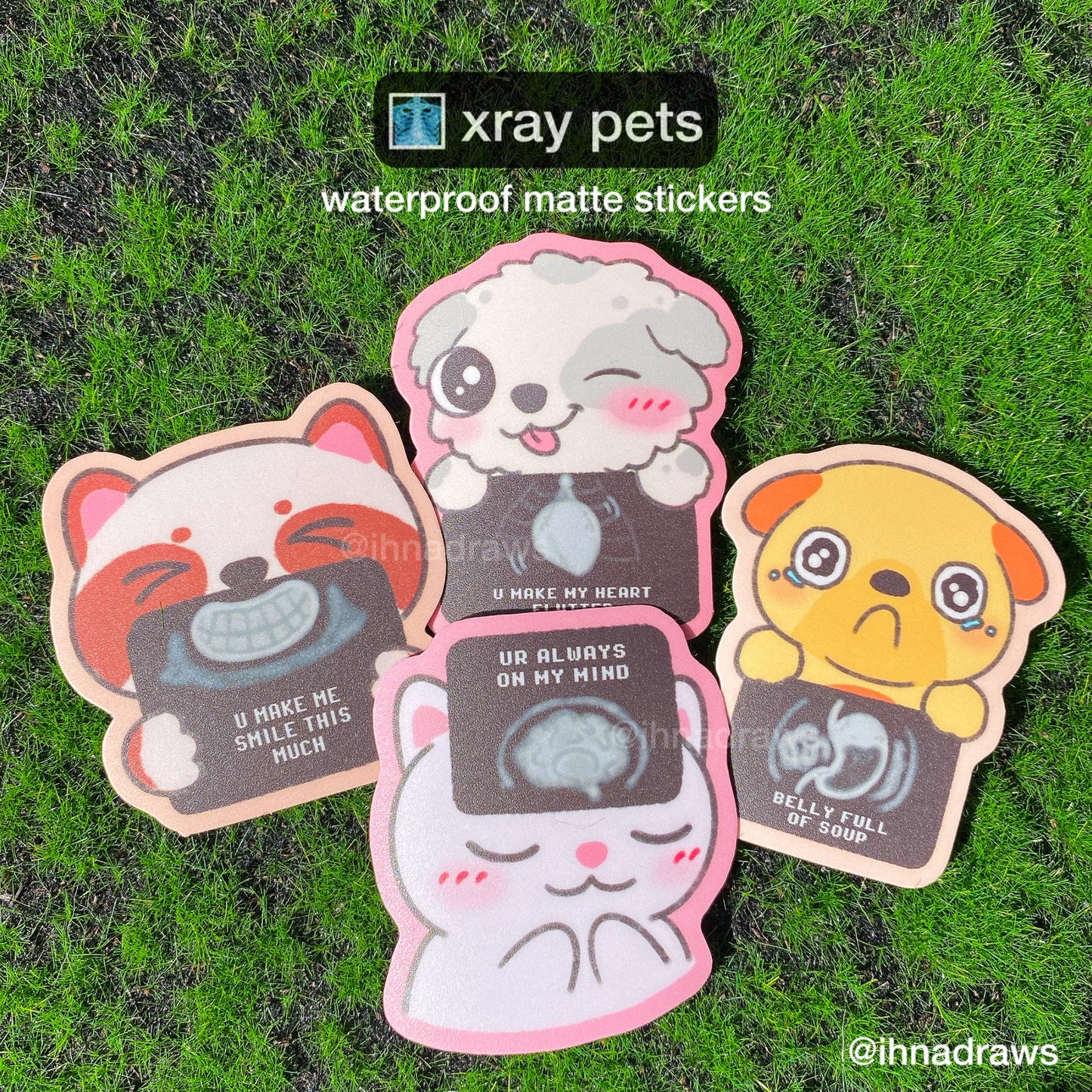 Xray Pets Stickers